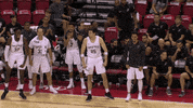 oh yeah yes GIF by NBA