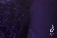 Rave Jungle GIF by THE NAAG