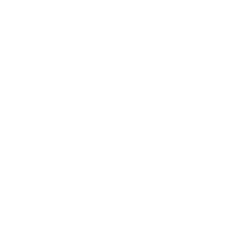 India Records Sticker by SE3K