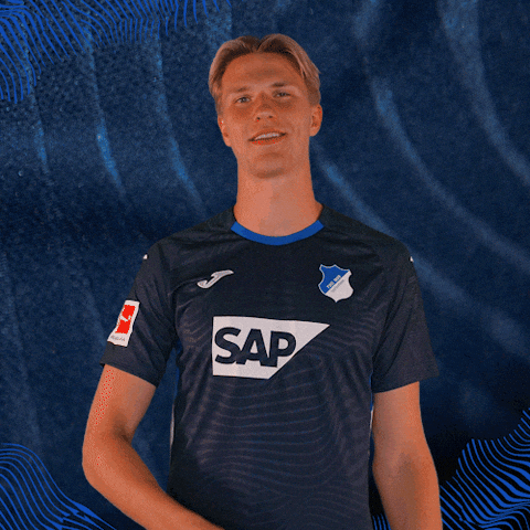 Sport Bundesliga GIF by TSG Hoffenheim