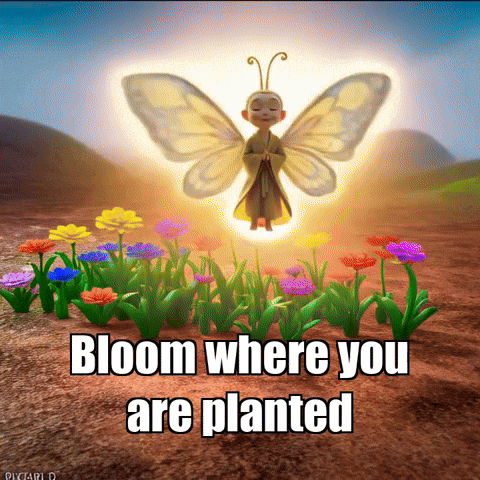Transformation Growth GIF by BuddhaFlyJourney