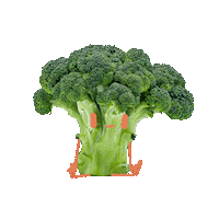 Comida Fruit Sticker by FrëschKëscht