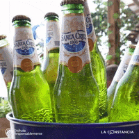 SantaCruz1906 beer cerveza bottle santa cruz GIF