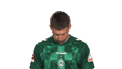 Look Up Werder Bremen Sticker by Bundesliga