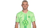 In Love Football Sticker by VfL Wolfsburg