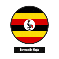 Flag Bandera Sticker by Formación Ninja