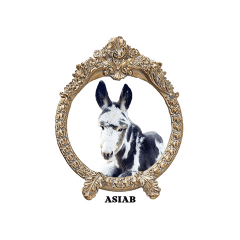 Horserescue Sticker by All Seated in a Barn