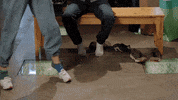 dance dancing GIF
