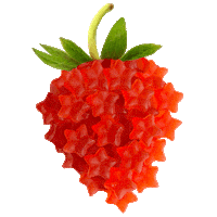 Gummies Sticker by HAIRtamin
