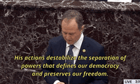 Adam Schiff GIF