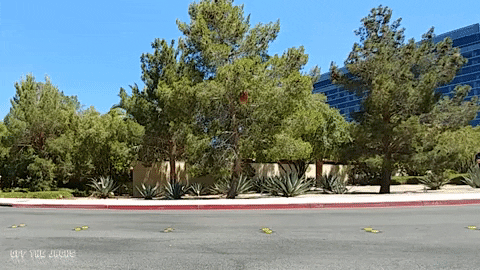 driving classic car GIF by Off The Jacks