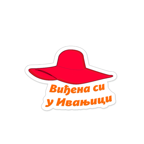 nusicijadaivanjica giphyupload nusicijada ivanjica vidjena si u ivanjici Sticker