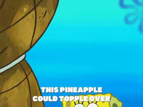 season 8 GIF by SpongeBob SquarePants