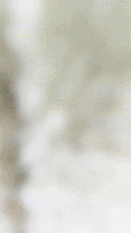 Gamer Plantsvszombies GIF by Youtooz