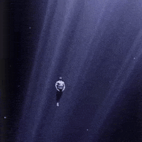Ocean Swimming GIF