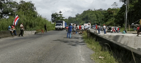 juandiegocordoba giphyupload GIF