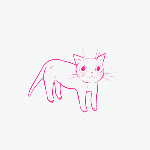 Cat Stretching GIF