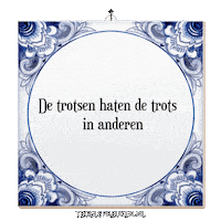 Wijsheid Spanning Sticker by Tegelspreuken.nl