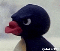Penguin Madrid GIF