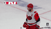 Happy Stanley Cup GIF by NHL