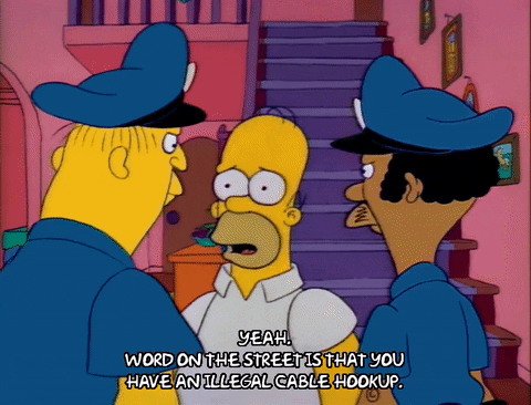 Season 2 Episode 13 GIF by The Simpsons