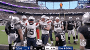 National Football League GIF by NFL