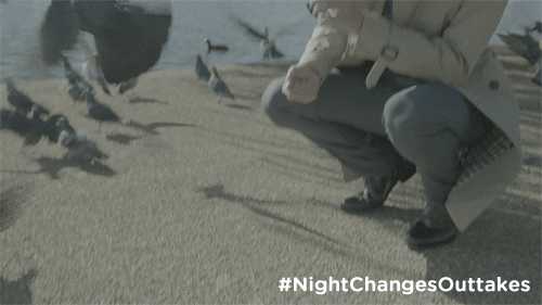 GIF by One Direction