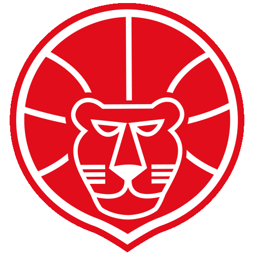 Basketball Lion Sticker by Use Basket