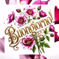 Italian Gentilezza GIF by TresorsDuMonde.ca