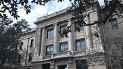 texas am college GIF by Texas A&M University