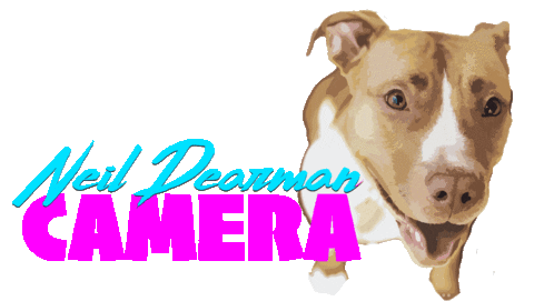 Sticker by Neil Dearman Camera