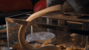 season 2 epix GIF by Get Shorty