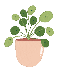 Pilea Peperomioides Tree Sticker by occasionalish