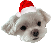 Dog 강아지 Sticker