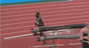 GIF by RunnerSpace.com