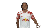 Rb Leipzig Hello Sticker by Bundesliga