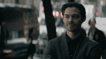 I Know More Than You GIF by ProdigalSonFox