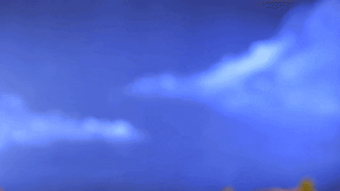 GIF by Dangerbird Records