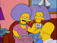 homer simpson GIF