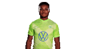 Soccer Sticker Sticker by VfL Wolfsburg