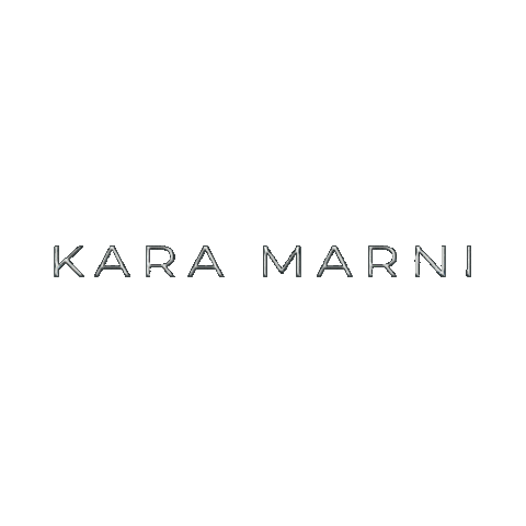 Shine Silver Sticker by Kara Marni