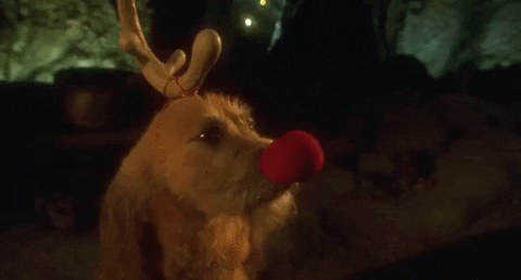 Jim Carrey Christmas Movies GIF by filmeditor