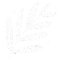 Star Sparkle Sticker
