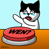 Cat Crying GIF by Moca Network