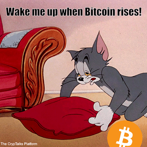 Tired Crypto GIF by CrypTalks