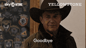 Cowboy Hello GIF by SkyShowtime