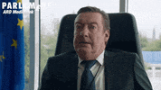 Whats Up Wtf GIF by Studio Hamburg Serienwerft GmbH