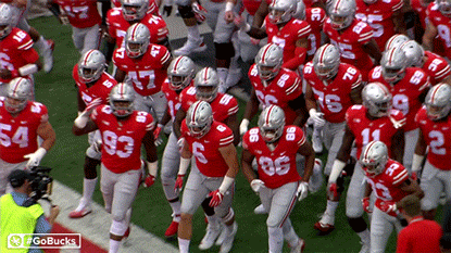 Ncaa Sports GIF by Ohio State Athletics