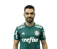 bruno henrique ok Sticker by SE Palmeiras