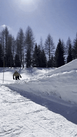 bonebinding  GIF